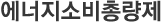 에너지소비총량제 